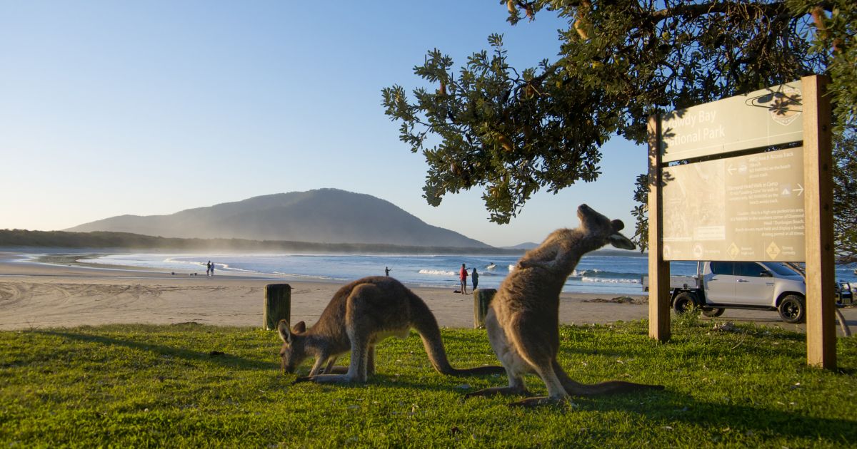 nsw tourist parks